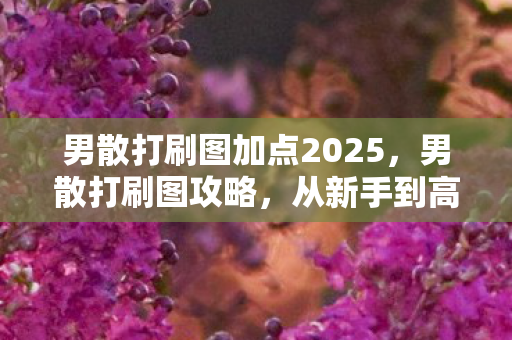 男散打刷图加点2025，男散打刷图攻略，从新手到高手的全面指南