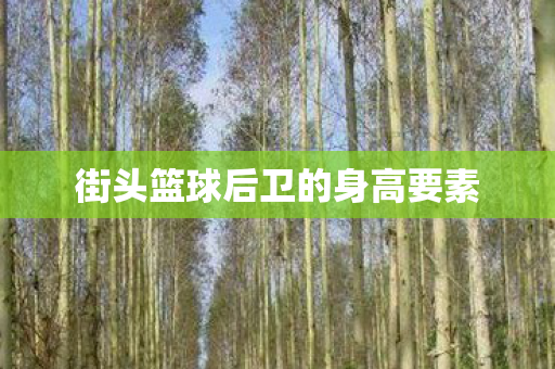 街头篮球后卫的身高要素