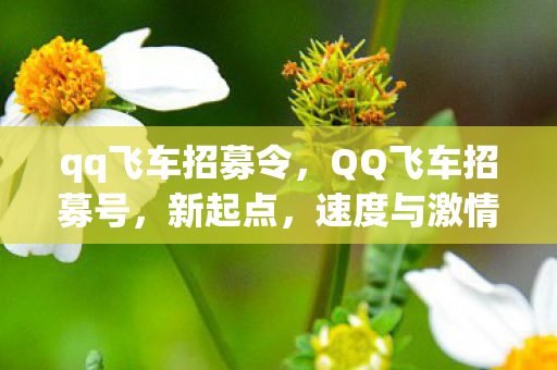 qq飞车招募令，QQ飞车招募号，新起点，速度与激情的盛宴
