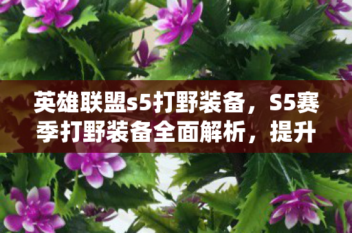 英雄联盟s5打野装备，S5赛季打野装备全面解析，提升你的野区统治力