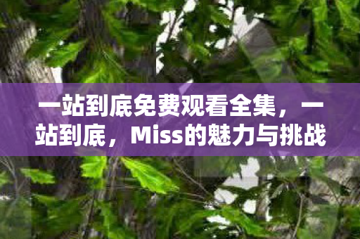一站到底免费观看全集，一站到底，Miss的魅力与挑战