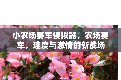 小农场赛车模拟器，农场赛车，速度与激情的新战场