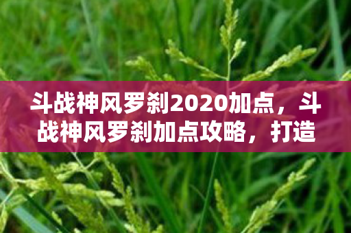斗战神风罗刹2020加点，斗战神风罗刹加点攻略，打造无敌战神