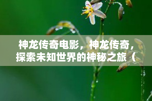 神龙传奇电影，神龙传奇，探索未知世界的神秘之旅（1.85版本更新解析）