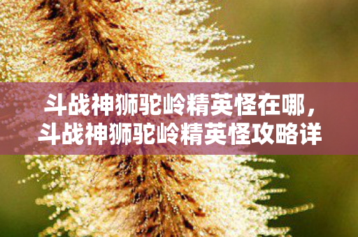 斗战神狮驼岭精英怪在哪，斗战神狮驼岭精英怪攻略详解