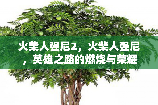 火柴人强尼2，火柴人强尼，英雄之路的燃烧与荣耀