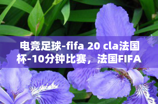 电竞足球-fifa 20 cla法国杯-10分钟比赛，法国FIFA电竞冠军，荣耀背后的故事