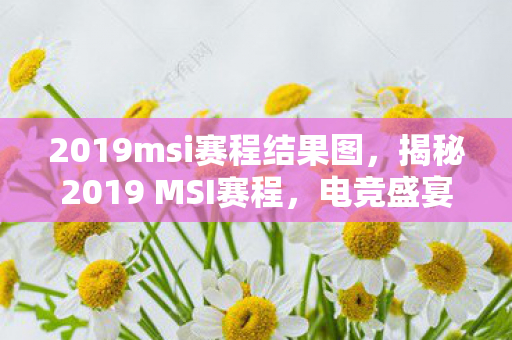 2019msi赛程结果图，揭秘2019 MSI赛程，电竞盛宴的热血时刻
