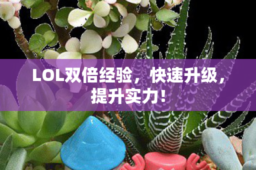 LOL双倍经验,快速升级,提升实力! LOL双倍经验,快速升级,提升实力!