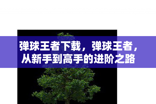 弹球王者下载，弹球王者，从新手到高手的进阶之路