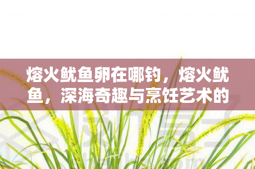 熔火鱿鱼卵在哪钓，熔火鱿鱼，深海奇趣与烹饪艺术的完美结合