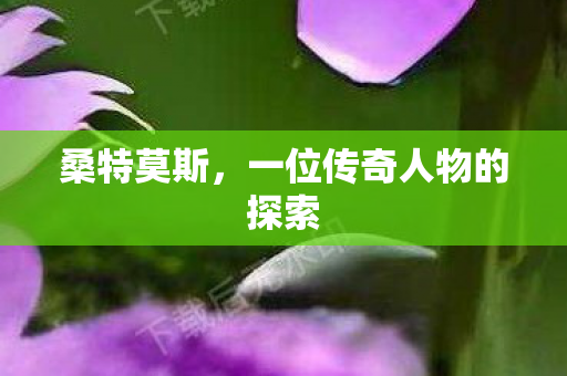 桑特莫斯，一位传奇人物的探索