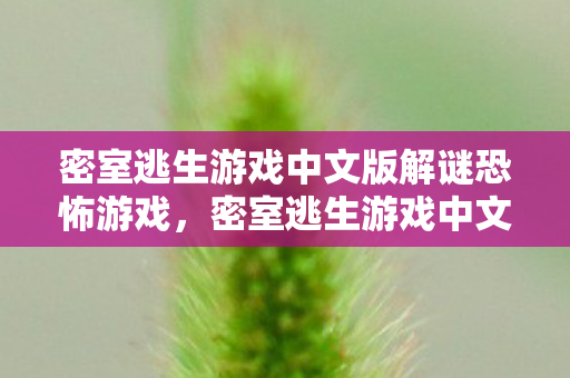 密室逃生游戏中文版解谜恐怖游戏，密室逃生游戏中文版，挑战你的智慧与勇气