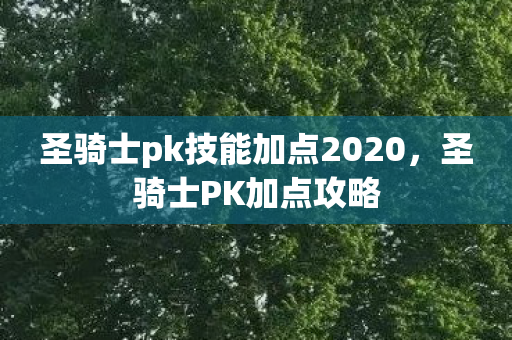 圣骑士pk技能加点2020，圣骑士PK加点攻略