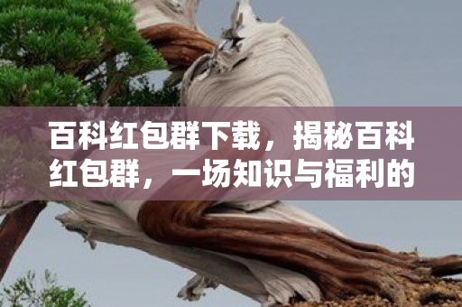 百科红包群下载，揭秘百科红包群，一场知识与福利的盛宴