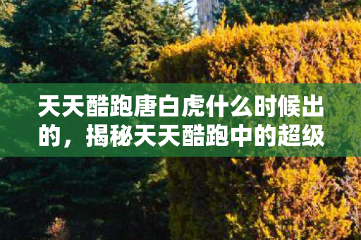 天天酷跑唐白虎什么时候出的，揭秘天天酷跑中的超级神兽—唐白虎
