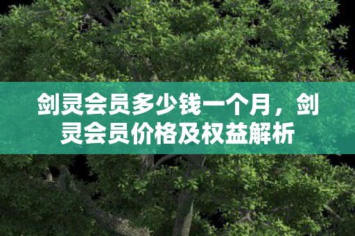 剑灵会员多少钱一个月，剑灵会员价格及权益解析