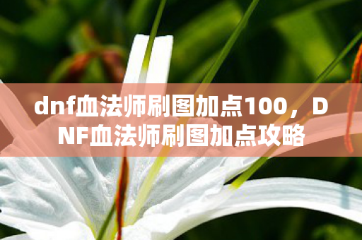 dnf血法师刷图加点100，DNF血法师刷图加点攻略