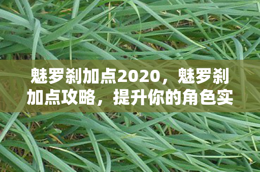 魅罗刹加点2020，魅罗刹加点攻略，提升你的角色实力