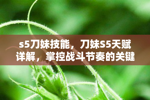 s5刀妹技能，刀妹S5天赋详解，掌控战斗节奏的关键所在