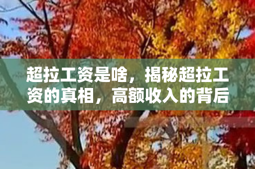 超拉工资是啥，揭秘超拉工资的真相，高额收入的背后真相