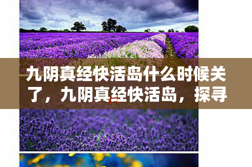 九阴真经快活岛什么时候关了，九阴真经快活岛，探寻武侠世界的奇幻乐园