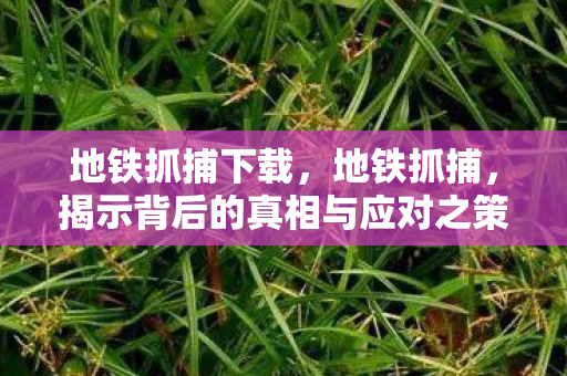 地铁抓捕下载，地铁抓捕，揭示背后的真相与应对之策