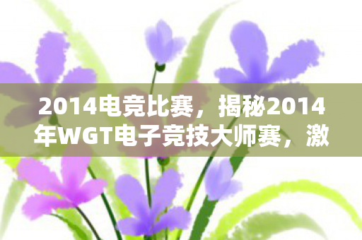 2014电竞比赛，揭秘2014年WGT电子竞技大师赛，激情与荣耀的赛场盛宴