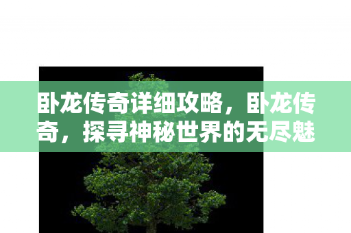 卧龙传奇详细攻略，卧龙传奇，探寻神秘世界的无尽魅力