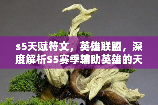 s5天赋符文，英雄联盟，深度解析S5赛季辅助英雄的天赋选择