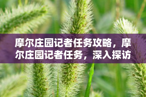 摩尔庄园记者任务攻略，摩尔庄园记者任务，深入探访，体验庄园生活的百态