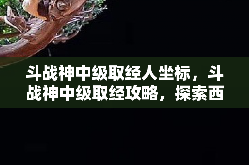 斗战神中级取经人坐标，斗战神中级取经攻略，探索西游之路的新篇章