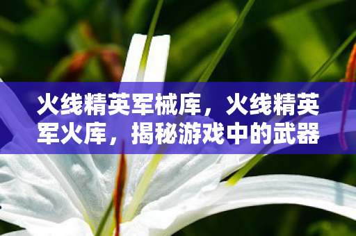 火线精英军械库，火线精英军火库，揭秘游戏中的武器宝库