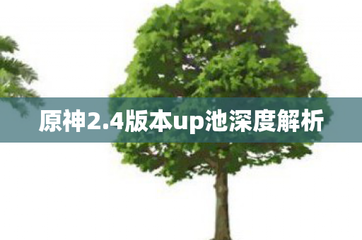 原神2.4版本up池深度解析