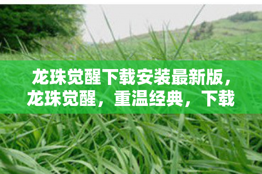 龙珠觉醒下载安装最新版，龙珠觉醒，重温经典，下载开启冒险之旅