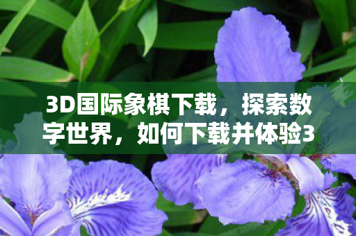 3D国际象棋下载，探索数字世界，如何下载并体验3D国际象棋游戏