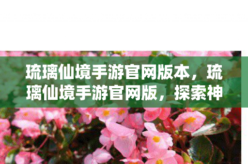 琉璃仙境手游官网版本，琉璃仙境手游官网版，探索神秘的仙侠世界