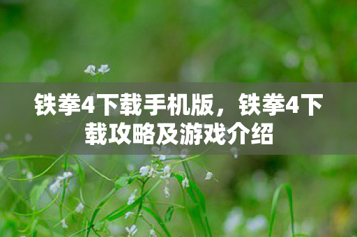 铁拳4下载手机版，铁拳4下载攻略及游戏介绍