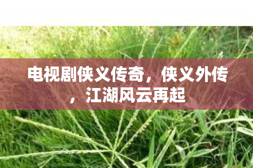 电视剧侠义传奇，侠义外传，江湖风云再起