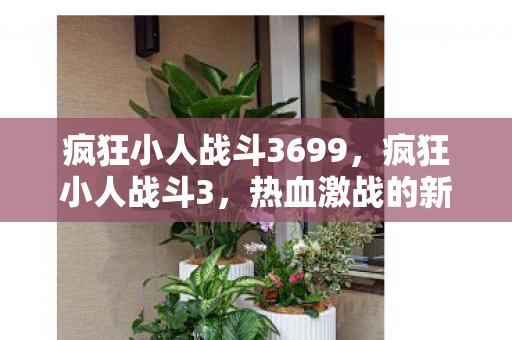 疯狂小人战斗3699，疯狂小人战斗3，热血激战的新篇章