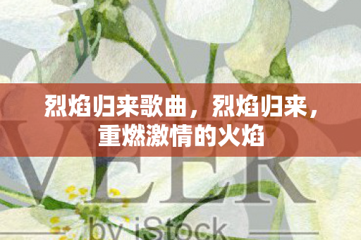 烈焰归来歌曲，烈焰归来，重燃激情的火焰