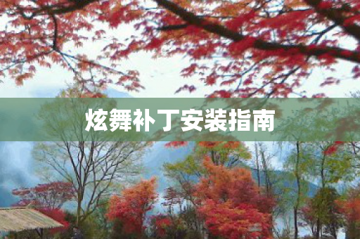 炫舞补丁安装指南