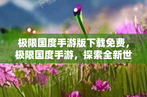 极限国度手游版下载免费，极限国度手游，探索全新世界，尽享极速竞技的乐趣