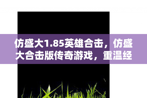 仿盛大1.85英雄合击，仿盛大合击版传奇游戏，重温经典，感受合击魅力