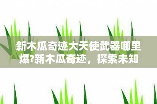 新木瓜奇迹大天使武器哪里爆?新木瓜奇迹，探索未知世界的神秘魅力