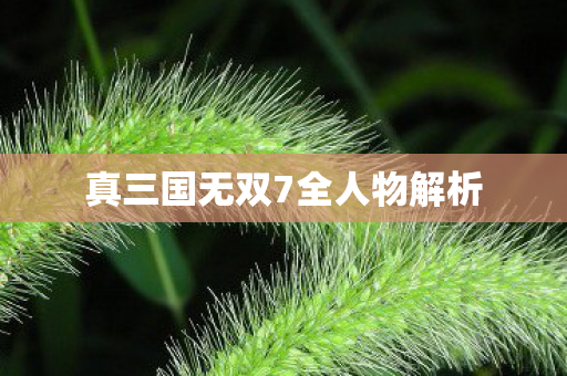 真三国无双7全人物解析