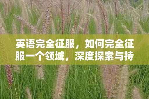 英语完全征服，如何完全征服一个领域，深度探索与持续努力的必经之路