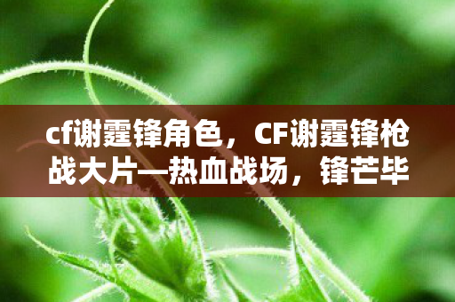 cf谢霆锋角色，CF谢霆锋枪战大片—热血战场，锋芒毕露