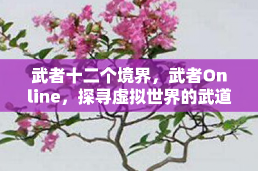 武者十二个境界，武者Online，探寻虚拟世界的武道魅力
