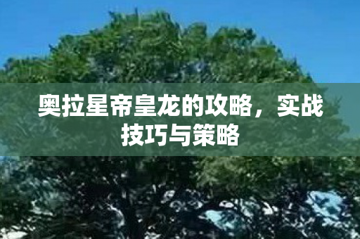 奥拉星帝皇龙的攻略，实战技巧与策略